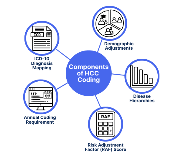 Infographic showing components of Hierarchical Condition Category (HCC) coding: ICD-10 diagnosis mapping, demographic adjustments, disease hierarchies, risk adjustment factor (RAF) score calculation, and annual coding requirements. Visual guide explaining how HCC coding impacts risk scoring, value-based care, and reimbursement.