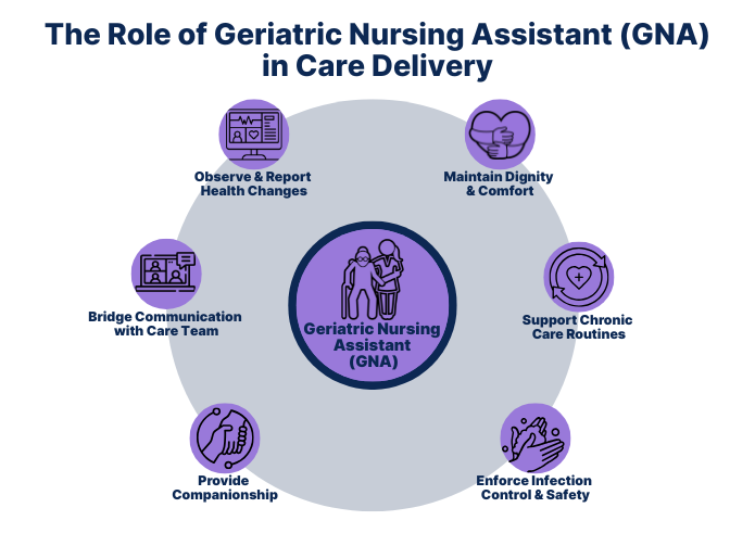 Infographic showing the role of a Geriatric Nursing Assistant (GNA) in care delivery: observing and reporting health changes, maintaining dignity and comfort, supporting chronic care routines, enforcing infection control and safety, providing companionship, and bridging communication with the care team.