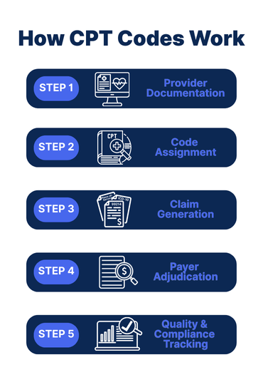 Infographic showing how CPT codes work in five steps: provider documentation, code assignment, claim generation, payer adjudication, and quality compliance tracking. Visual explains medical billing workflow and reimbursement process for healthcare providers.