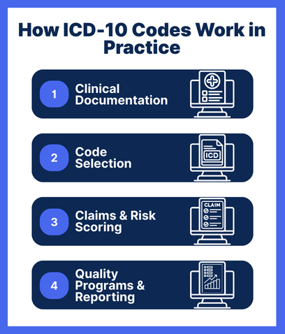 Infographic explaining how ICD-10 codes work in practice with four steps: clinical documentation, code selection, claims and risk scoring, and quality programs with reporting. Visual guide to ICD-10 medical coding process for healthcare providers and billing compliance.