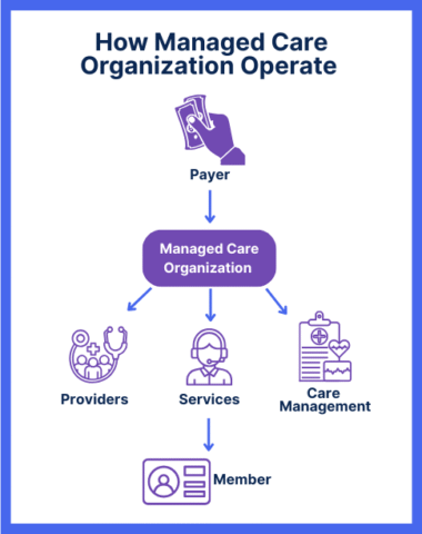 What Is a Managed Care Organization (MCO)? | Medicaid & Healthcare Networks