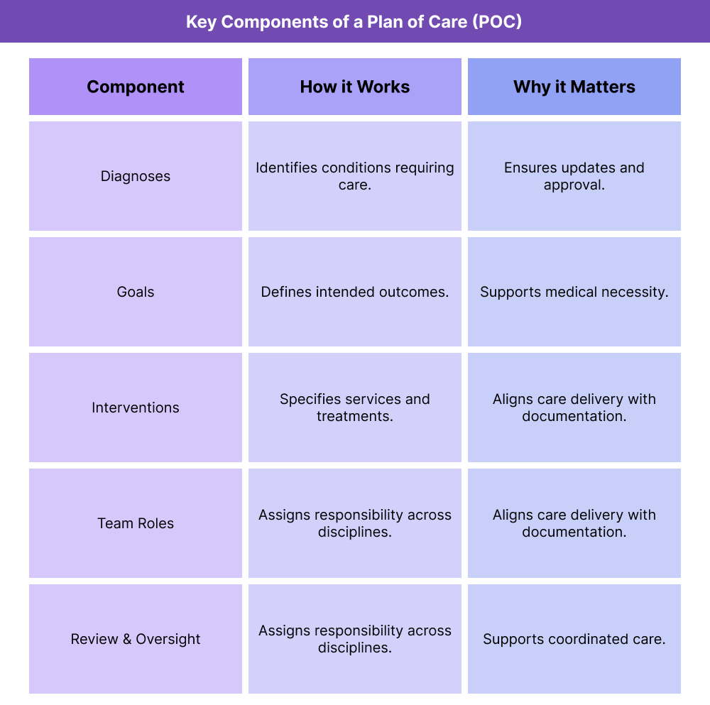 Table outlining key components of a Plan of Care (POC), including diagnoses, goals, planned interventions, care team roles, and review requirements.