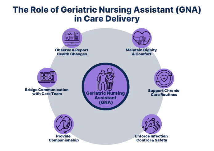 Infographic showing the role of a Geriatric Nursing Assistant (GNA) in care delivery: observing and reporting health changes, maintaining dignity and comfort, supporting chronic care routines, enforcing infection control and safety, providing companionship, and bridging communication with the care team.
