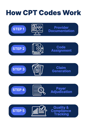 Infographic showing how CPT codes work in five steps: provider documentation, code assignment, claim generation, payer adjudication, and quality compliance tracking. Visual explains medical billing workflow and reimbursement process for healthcare providers.