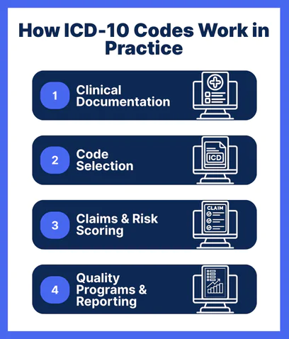 Infographic explaining how ICD-10 codes work in practice with four steps: clinical documentation, code selection, claims and risk scoring, and quality programs with reporting. Visual guide to ICD-10 medical coding process for healthcare providers and billing compliance.