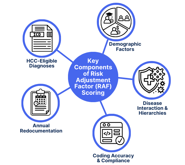 Infographic showing key components of Risk Adjustment Factor (RAF) scoring: HCC-eligible diagnoses, demographic factors, disease interaction and hierarchies, coding accuracy and compliance, and annual redocumentation. Visual guide explaining RAF scoring for healthcare risk adjustment and value-based care programs.