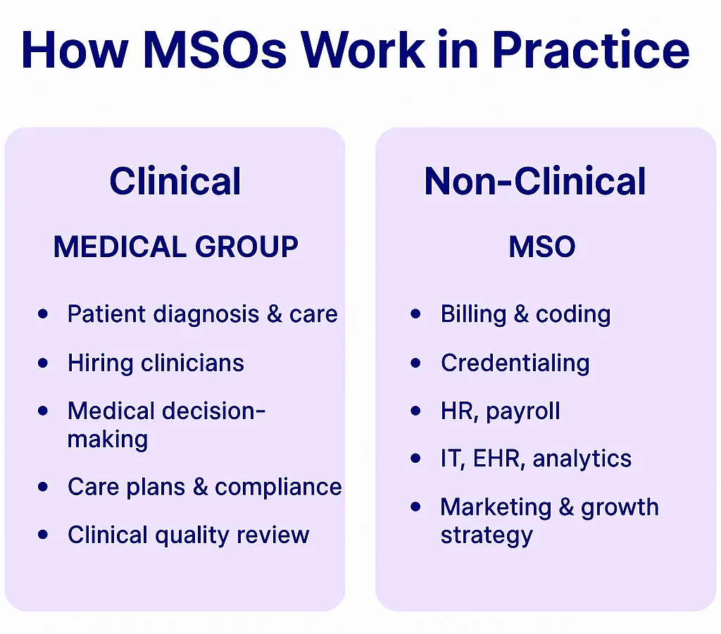 Infographic explaining how MSOs (Management Services Organizations) work in practice, showing a side-by-side comparison of clinical responsibilities handled by the medical group and non-clinical services managed by the MSO, such as billing, credentialing, HR, IT, and marketing.